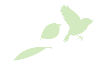 飛んでいる鳥