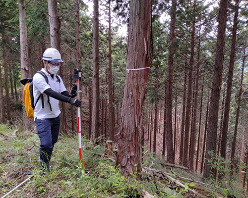山林の調査