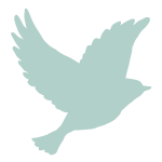緑の鳥