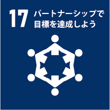 sdgs17
