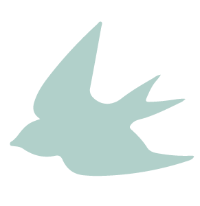 飛んでいる鳥2