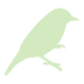 緑色の鳥