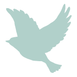 緑の鳥