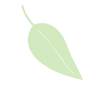 黄緑の葉っぱ