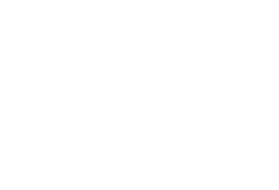 白い葉っぱ