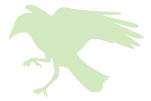 緑の鳥