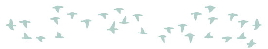 緑の鳥