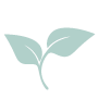 leaf9